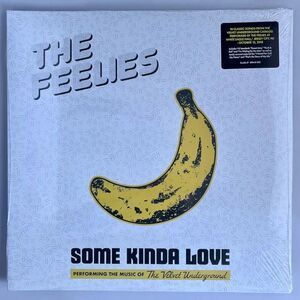 The Feelies Performing The Music Of The Velvet Underground – Double Vinyl